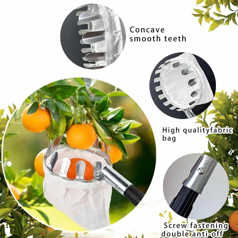 Jiahuade Recogedor de Frutas Telescopico,Cesta Recogedora de Manzanas,Recoge Frutas Altuna,Recoge Frutas,Recogedor de Frutas,Recoge Frutas Telescopico,Recoge Frutas de árboles (3.2M)