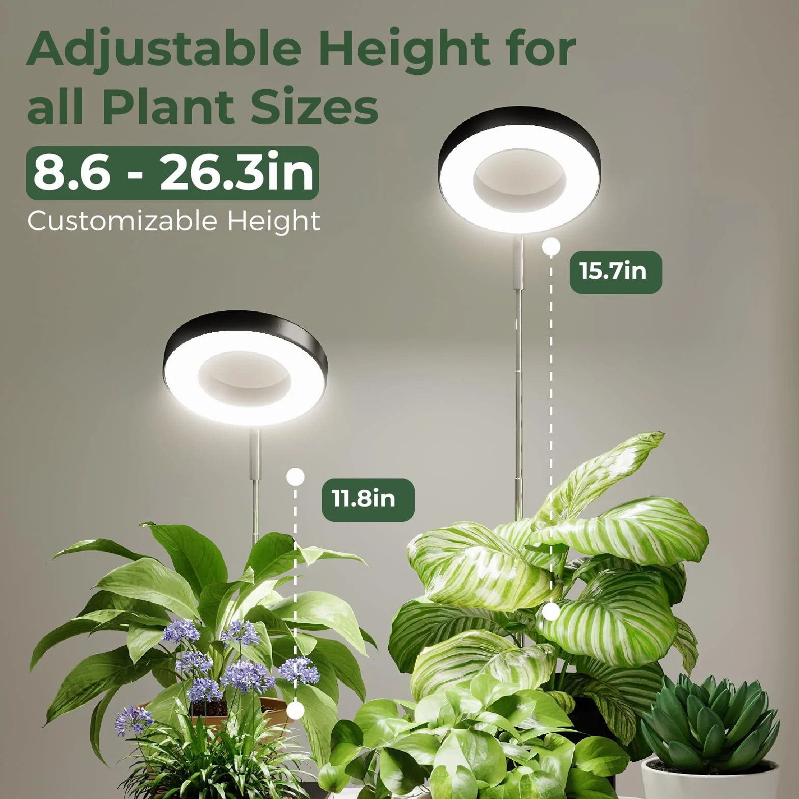 Bamworld luz crecimiento plantas interior LED espectro completo 8W con base luces de crecimiento para plantas anillo altura ajustable escritorio grow light luz para plantas interior
