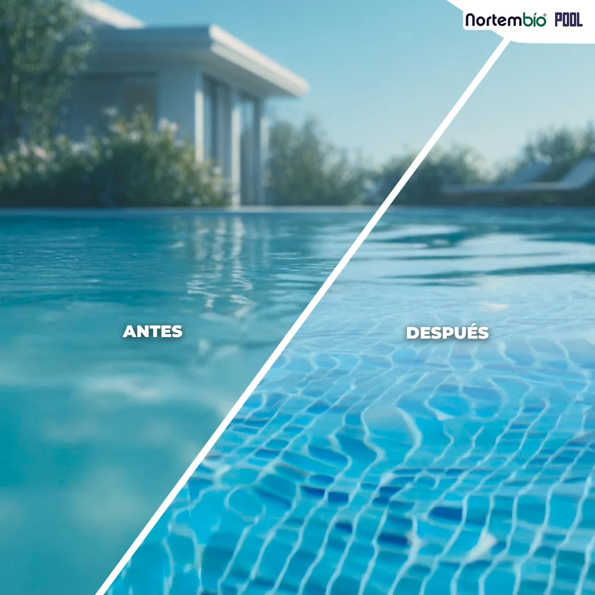 Nortembio Floculante Piscina Concentrado Clarificante Agua Turbia Piscina Grande y SPA 100% Natural Formato Ahorro Tratamiento 24 Semanas + Gratis eBook Usos y Consejos