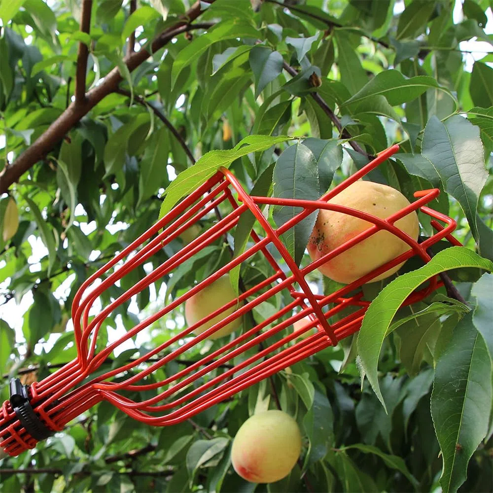 NAVESO Recogedor de Frutas, 4m Recoge Frutas Telescopico, Recogedor de Manzanas, Recoge Frutas de Árboles para Manzanas, Naranjas, Peras