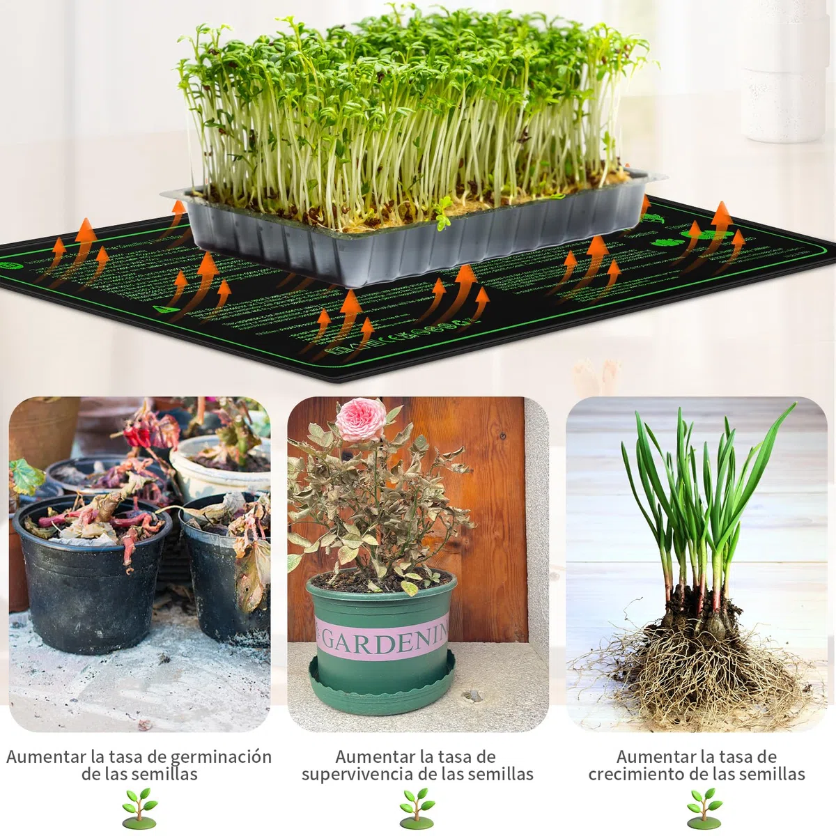 Alfombras Calefactoras, Alfombrilla de Calor para Plantas con Controlador de termostato, Estera Calefactora Ajustable Almohadilla Térmica para Plantas para Semilleros, Mascotas, 50 x 25 cm 30W