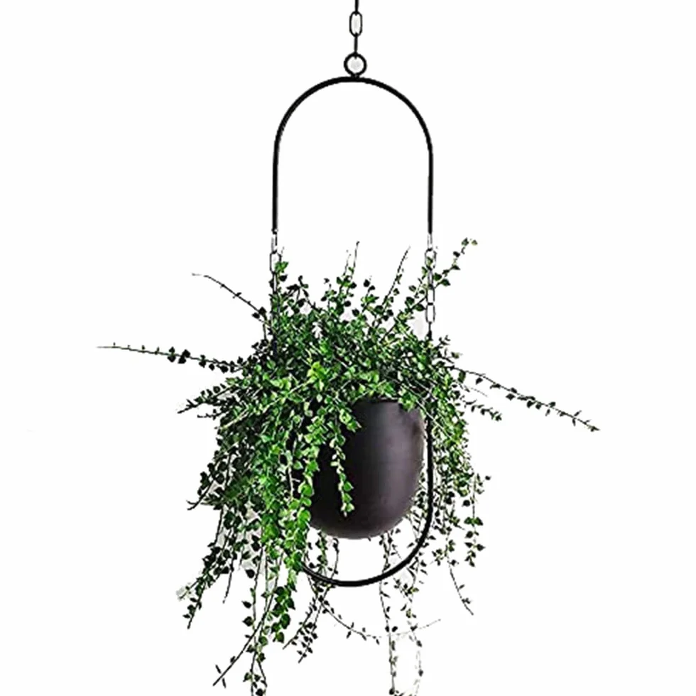 Decoración colgante para macetas, cesta de metal estilo boho, cesta colgante para plantas de interior, suculentas, plantas de aire, cactus (negro)