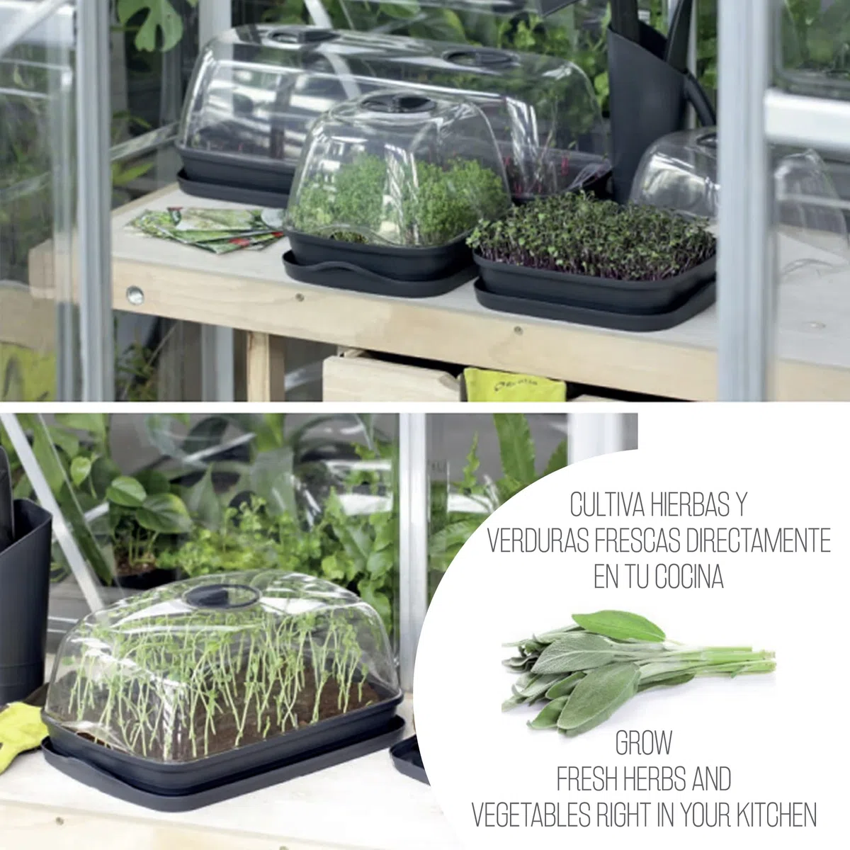 Prosperplast Semillero/Bandeja Multiusos con Tapa de policarbonato respana Table Greenhouse, Dimensiones (mm) 515x196x185, Color Gris Piedra
