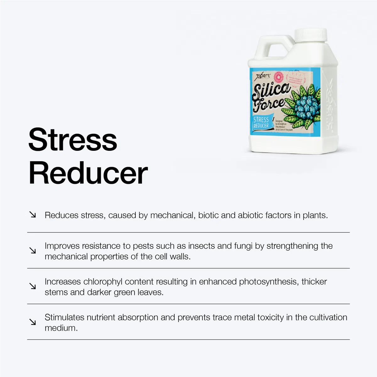 Silica Force (250 ML) - Suplemento de Silicio Reductor de Estrés Aditivo de Sílice, Tallos Saludables y Hojas Verdes, Nutriente Líquido Universal para Plantas Fuertes