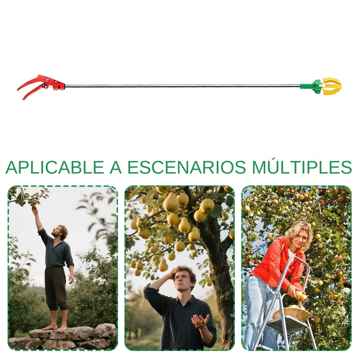 Recogefrutas | Recolector Telescópico de 3 Garras | Corta Ramas Recolector Manual Para Huerto Y Agricultor