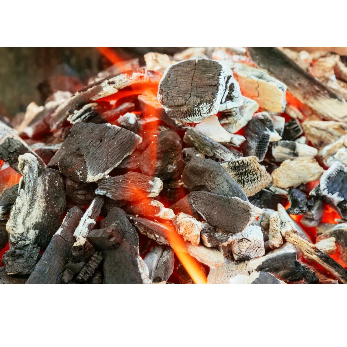 Carbón de Leña Vegetal Premium 5kg - Madera de Encina y Alcornoque 100% España - Alto Poder Calorífico y Larga Duración - Ideal para Barbacoas, Parrillas y Ahumados - Encendido Fácil y Sin Chispas