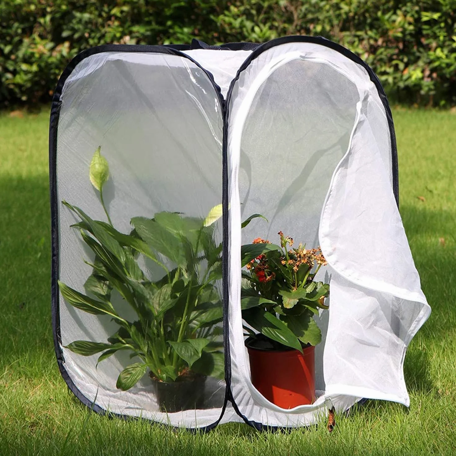 Mariposa Hábitat Red de Cría de Mariposas Plegable Collector de Insectos Plegable Net Mesh Insects Plant Ventilación Hábitat Jaula para Mariposas Insectos Plants 40 * 40 * 60 cm
