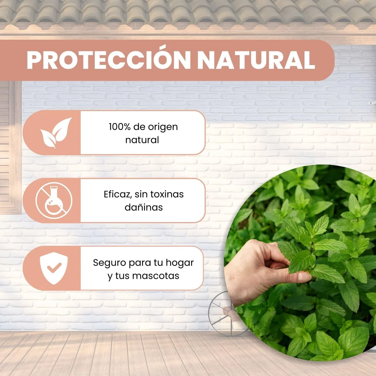 PLANTAWA Purín de Ortiga 5L | Solución Natural para el Refuerzo y Cuidado de Superficies | Acción Eficaz y Seguro | Prensado en Frío | Producto de origen natural | Poder Reverdeciente