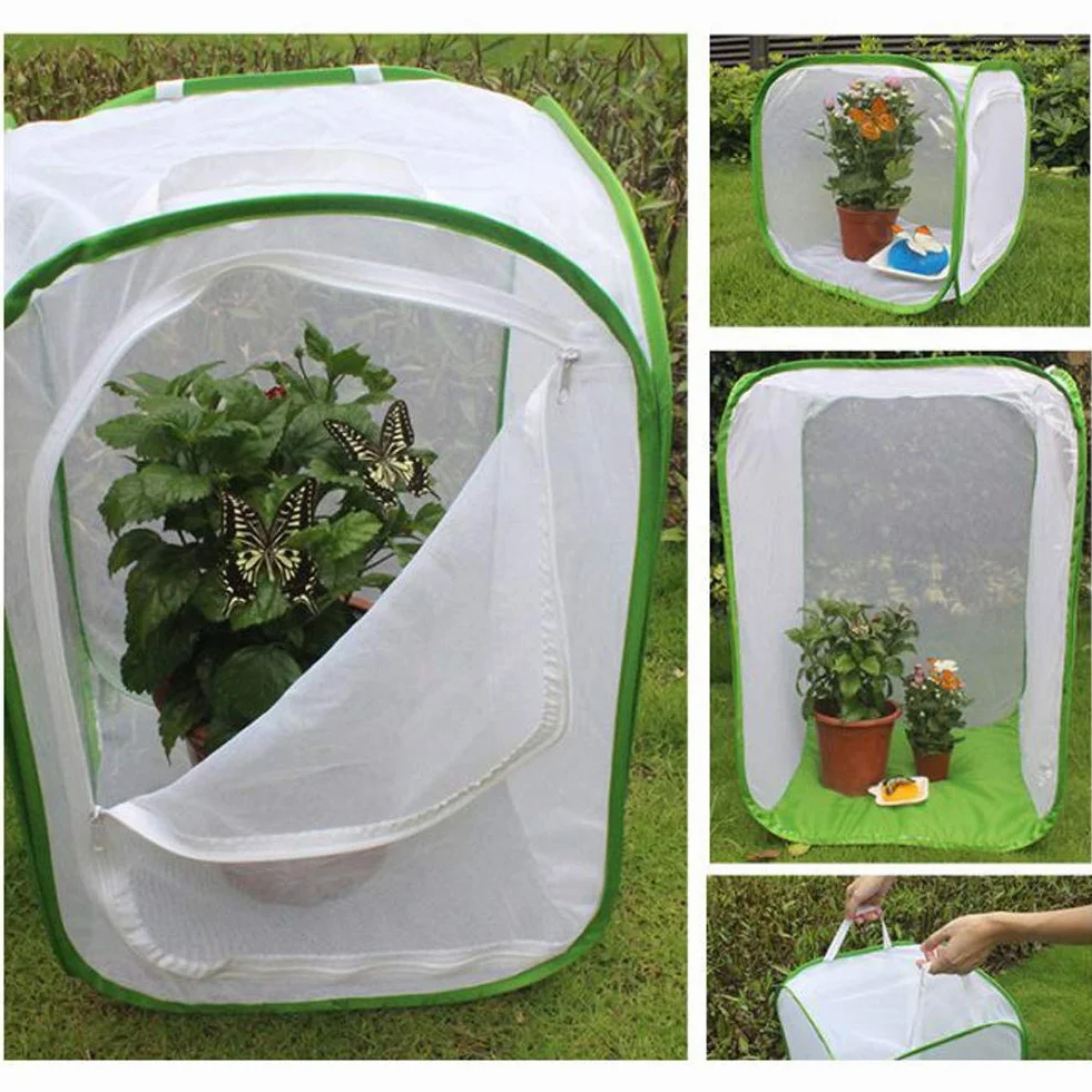 Kisbeibi Jaula de insectos translúcida red mariposa hábitat jaula planta invernadero tienda plegable protección jardín mariposa (tamaño: M,15,74 x 15,74 x 23,62 pulgadas)
