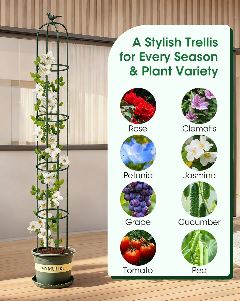 LATERN 1 Pieza Enrejado de Obelisco de Jardín para Plantas Trepadoras, 180CM Altura Soporte Metálico para Plantas con Revestimiento Antioxidante para Macetas Plantas Rosas Tomates Flores Uvas (Verde)