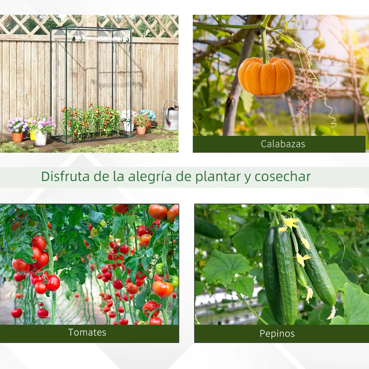 Outsunny Invernadero de Jardín con Puerta Enrollable y Estructura de Acero para Cultivo de Plantas Tomates en Terraza Patio 100x50x150 cm Transparente