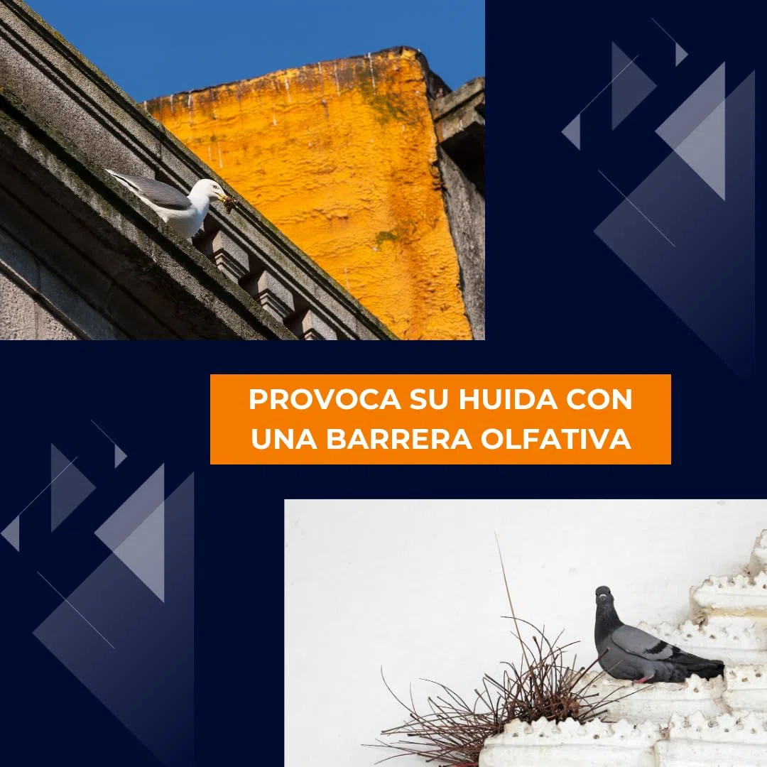Repelente para Aves 1X500ml I Protección antipalomas ahuyentador de pajaros y protección de Balcones Plantas edificaciones Barcos Evita la Suciedad de Las Palomas contra Las Palomas y pajaros