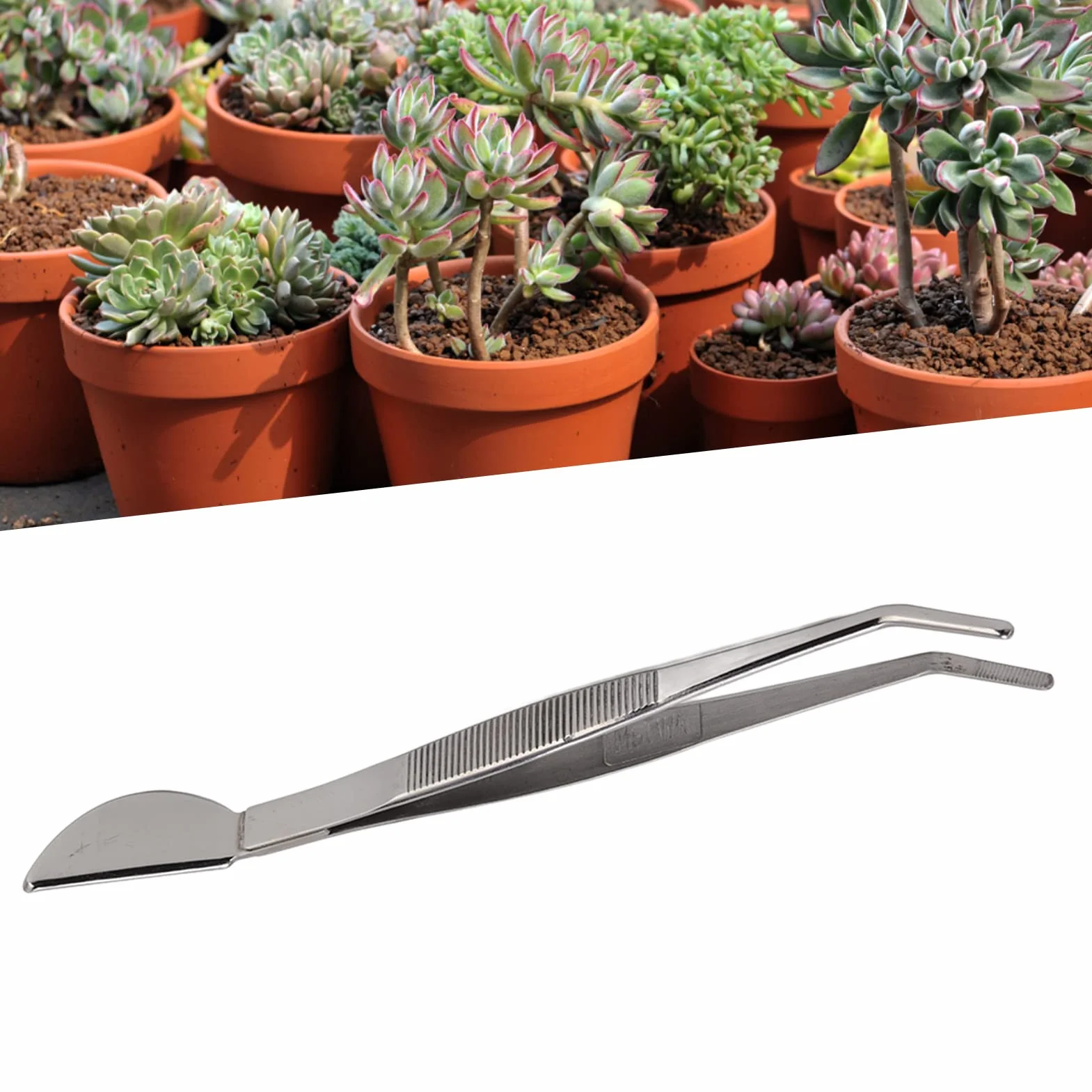 Fdit Pinzas para Bonsái de Acero Inoxidable, Pinzas Largas con Cabeza de Espátula de Luna Creciente Herramienta Profesional para Bonsái Puntas Dentadas Rectas con Espátula(Doblado)
