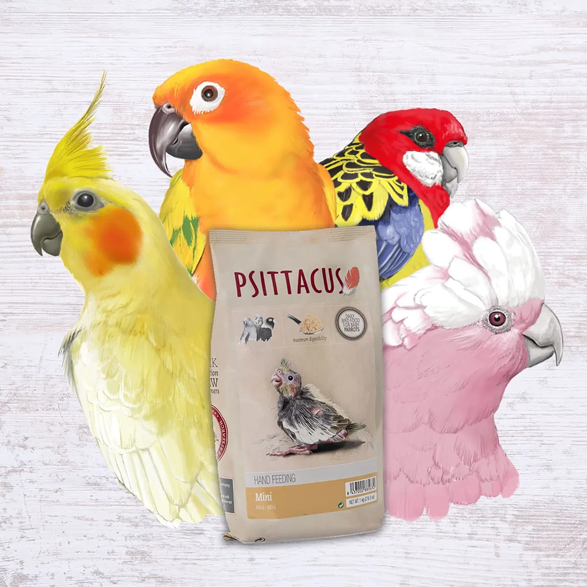 Psittacus Mini Hand-Feeding 1 kg | Papilla para Ninfas, Aratingas y cacatúa Galah | Alimento Premium para Aves | 100% no-GMO