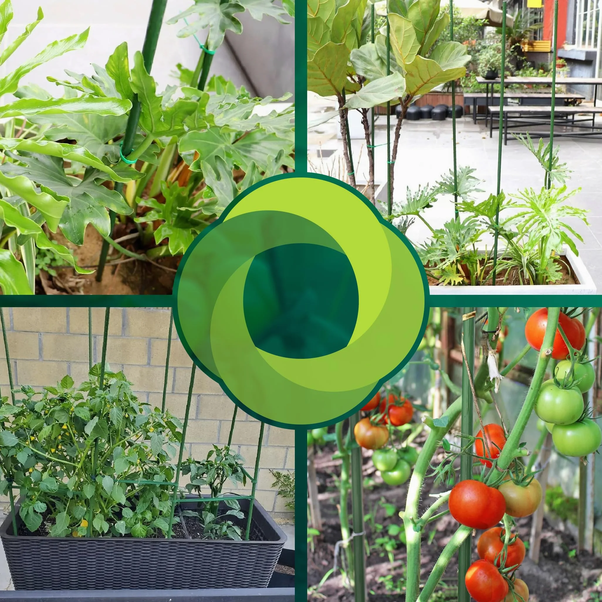CONTROL GARDEN Pack 10 Tutores de Acero Plastificado para Plantas 150cm Ø 9 mm | Varillas Crecimiento Plantas | Soporte Cultivos Apto Interior y Exterior