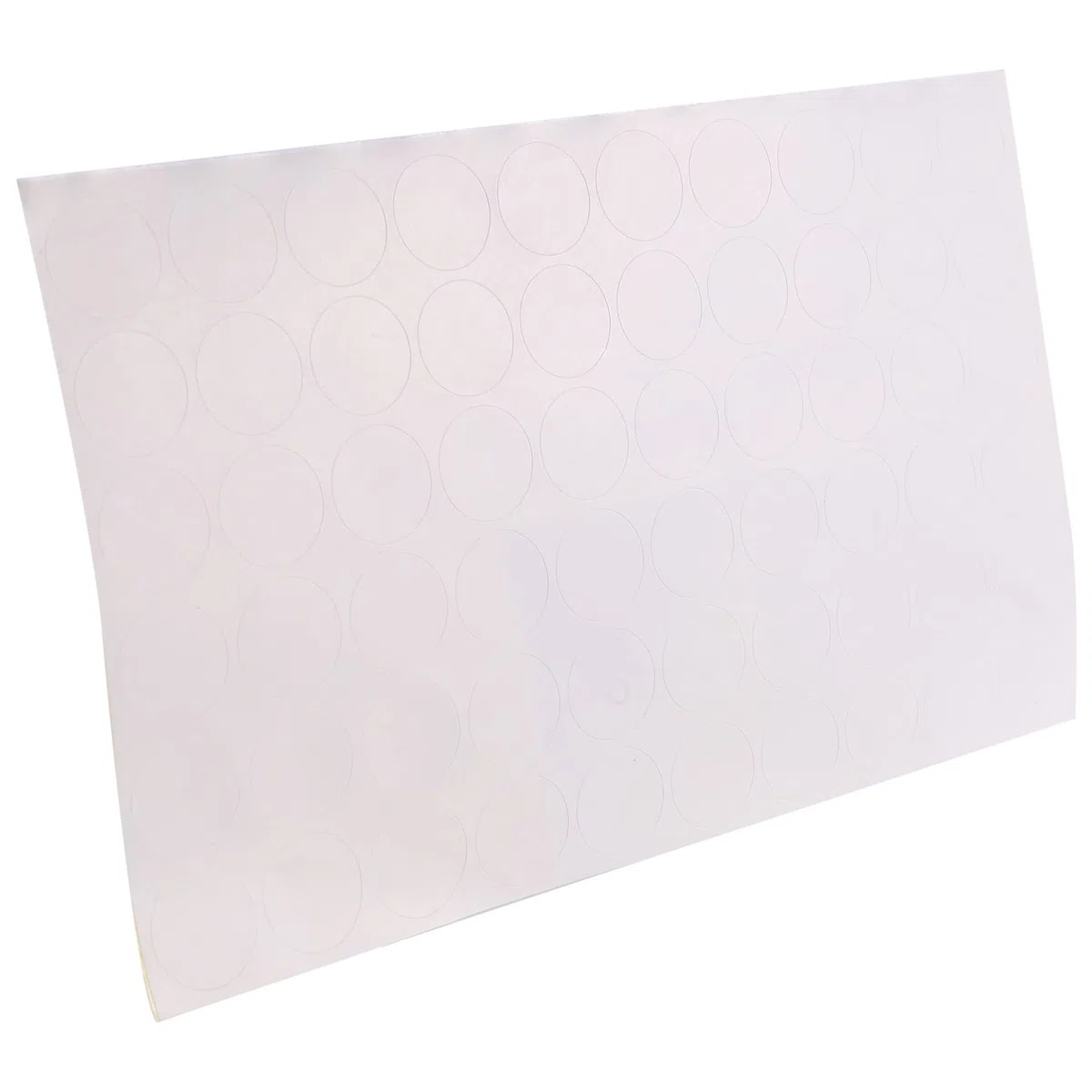 Caja de Almacenamiento de Semillas de 60 Ranuras, Caja de Almacenamiento de Semillas Resistente con Bolsa con Cremallera y Etiqueta Adhesiva (Semillas No Incluidas)