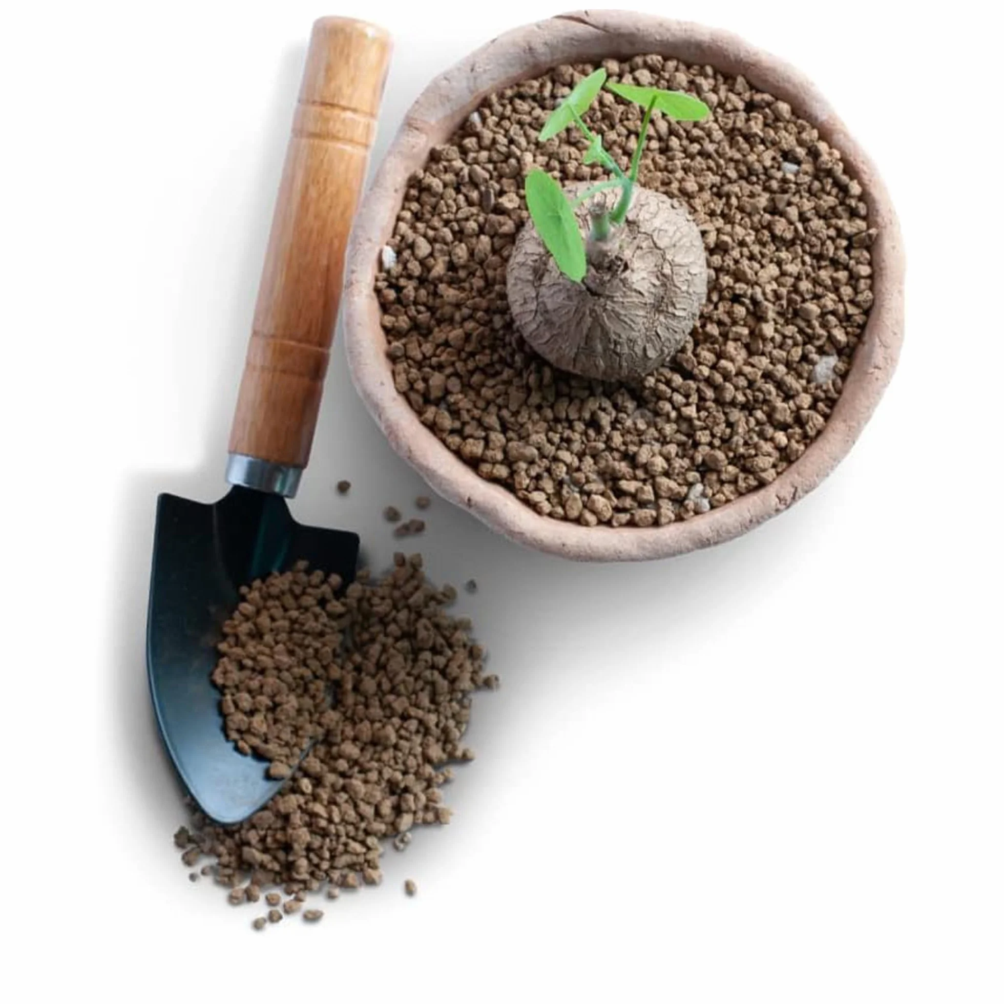 Kalapanta - Akadama HQ Ibaraki 1L Granulometría 2-5 mm - Granulado volcánico japonés Profesional de Calidad Dura para Plantas de bonsái Equilibrio Agua, Aire, nutrientes y minerales.