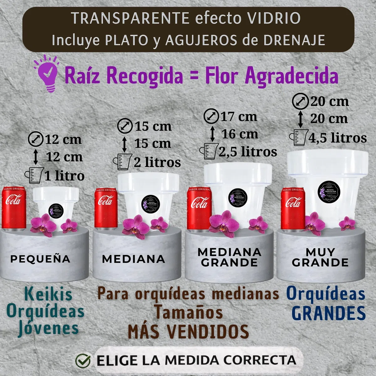Maceta orquidea Transparente Redonda Ø17 cm + Plato | Maceta Transparente orquidea | Agujeros Drenaje, Efecto Vidrio | Maceta para orquídeas | Hecha en España-Modelos a Elegir