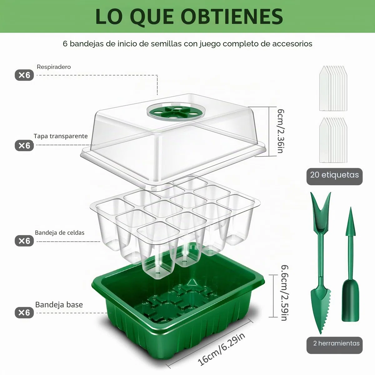 YAUNGEL Bandejas Semilleros, 6Pcs 72 Agujeros Mini Invernadero Germinador de Semillas, Bandeja de Cultivo con Tapa Ventilación y Ventana Ajustable para Plantas Desemillero, Verde