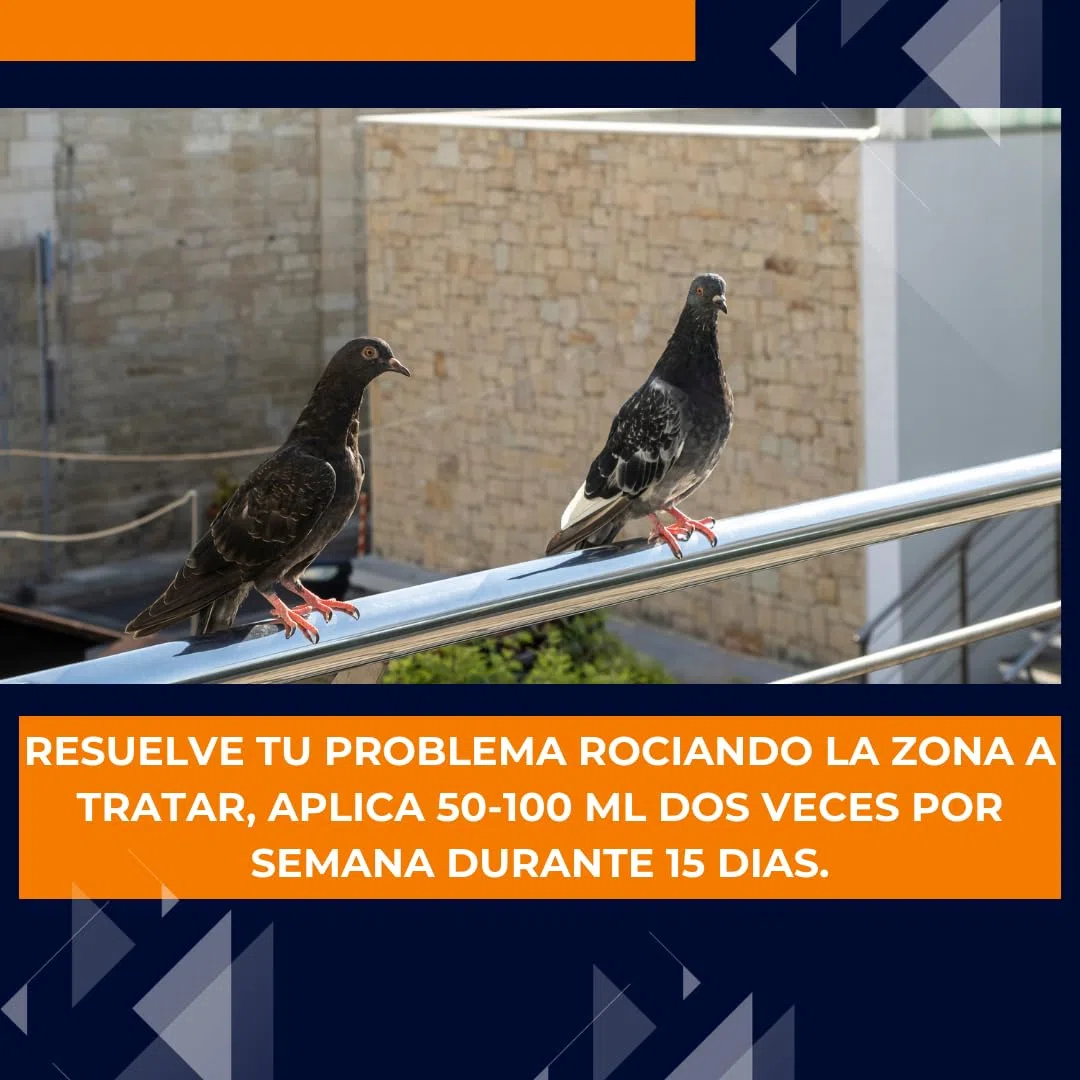 Repelente para Aves 1X500ml I Protección antipalomas ahuyentador de pajaros y protección de Balcones Plantas edificaciones Barcos Evita la Suciedad de Las Palomas contra Las Palomas y pajaros
