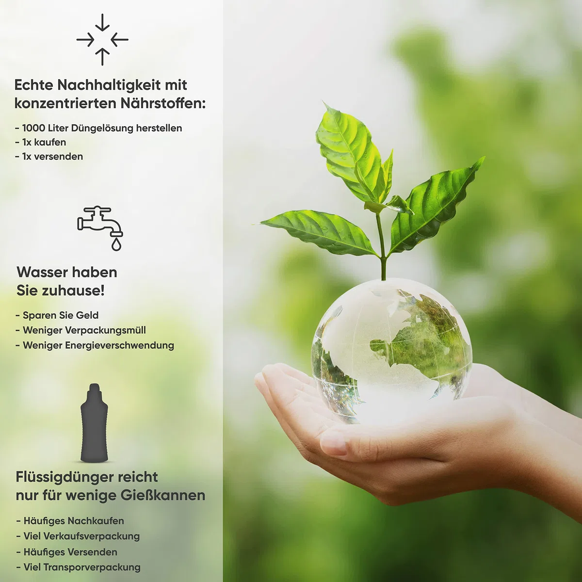 Meine Orangerie Fertilizante cítrico para todas las plantas cítricas [1 kg] – Abono para plantas premium – Fertilizante profesional cítrico para limonero, naranjo, lima y muchos más (1000 gramos)