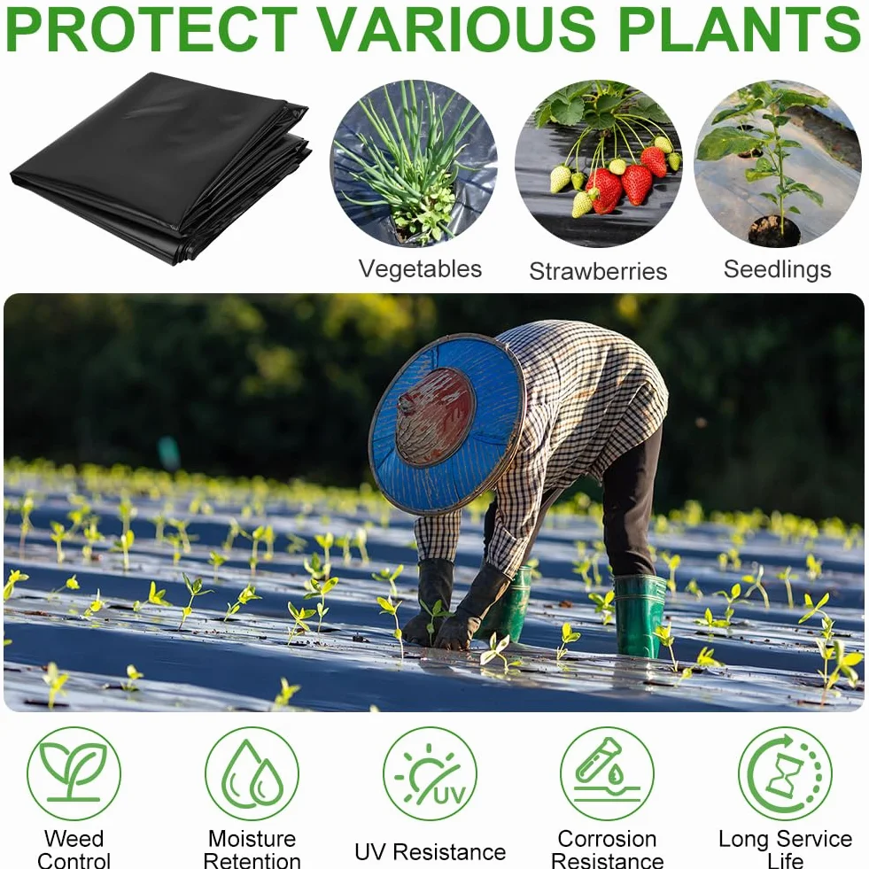 2 x 6M Plástico Invernadero Negro, Extra Gruesa Láminas de Polietileno de Efecto Invernadero de Plastico Cubretodo, Plastico Película Negro de Protección Las Plantas Láminas Jardín