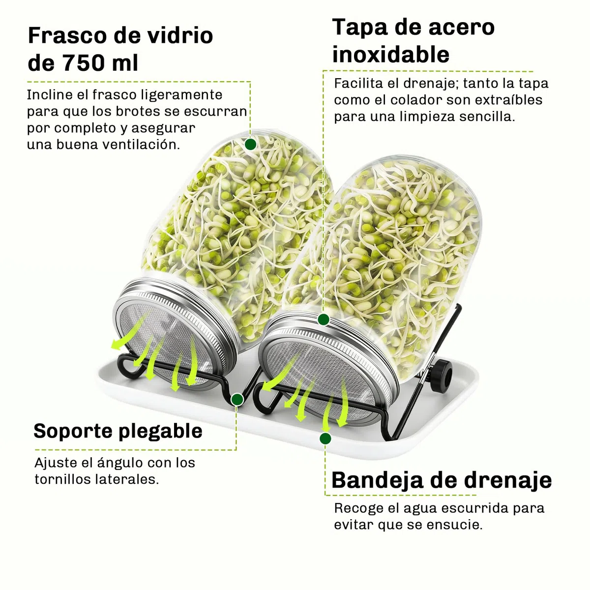 Kit de Tarros de Germinación, Kit de Brote de Semilla con 2X 750ml Frascos de Germinación, 2X Soporte, 1x Bandeja,2 Filtros de Acero Inoxidable, para Cría de Brotes