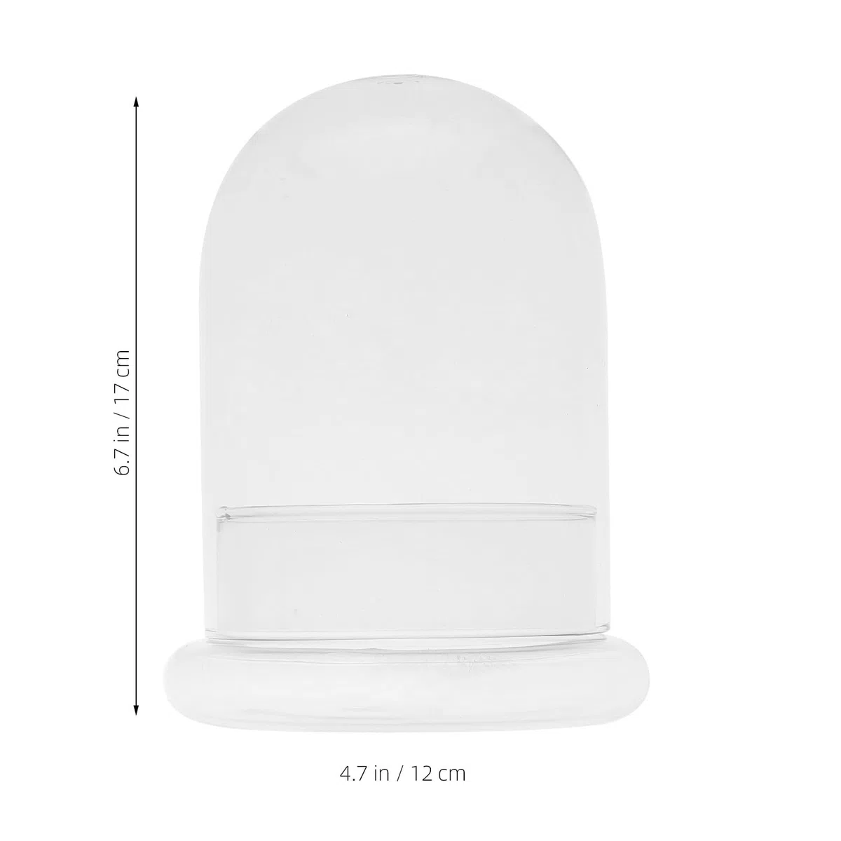 YARNOW CúPula De Cristal Pequeña - Terrario Plantas Campana, Ideal para Decorar Hogar, Oficina Y Regalos Creativos
