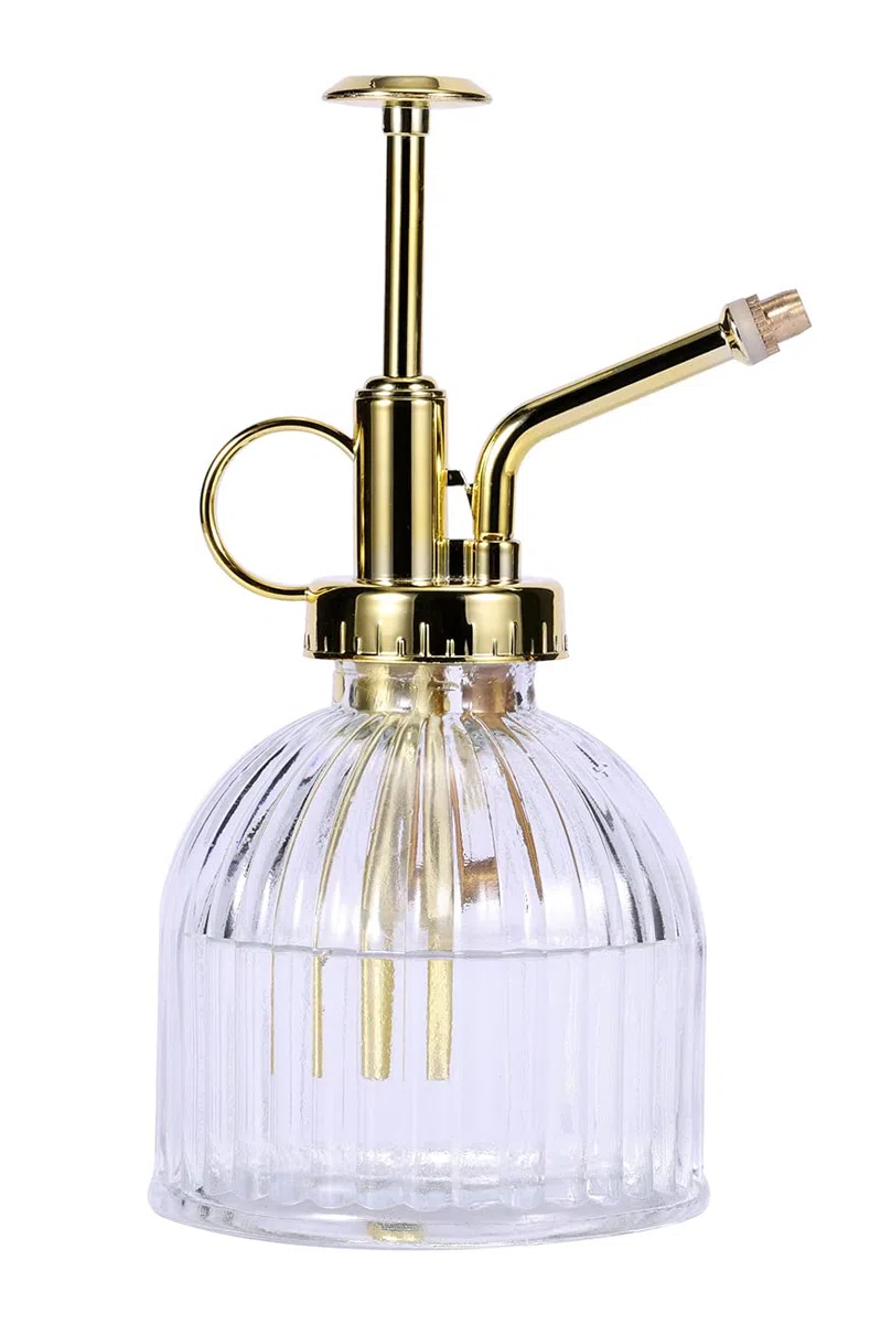 Eidoct Botella de spray de cristal Mister para plantas de vidrio, rociador de plantas pequeñas para plantas de interior y exterior, transparente+oro (transparente+oro A)