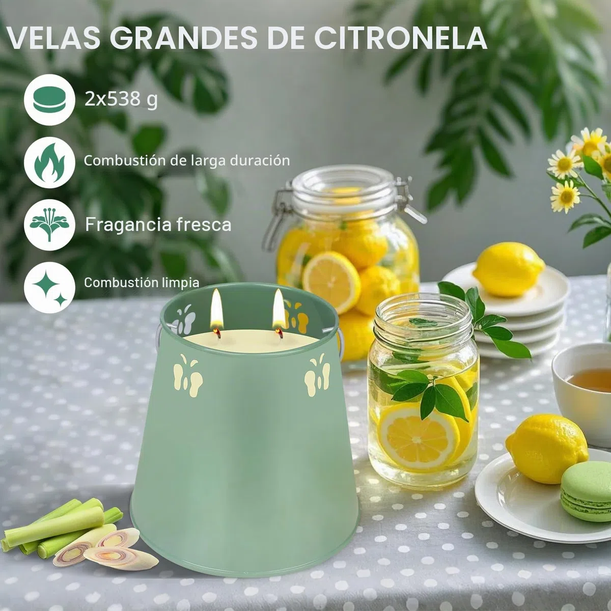 2 velas grandes de citronela, 2 mechas, 2 mechas, con asas, cera de soja, para jardín, camping, terraza, barbacoa o tarde de verano