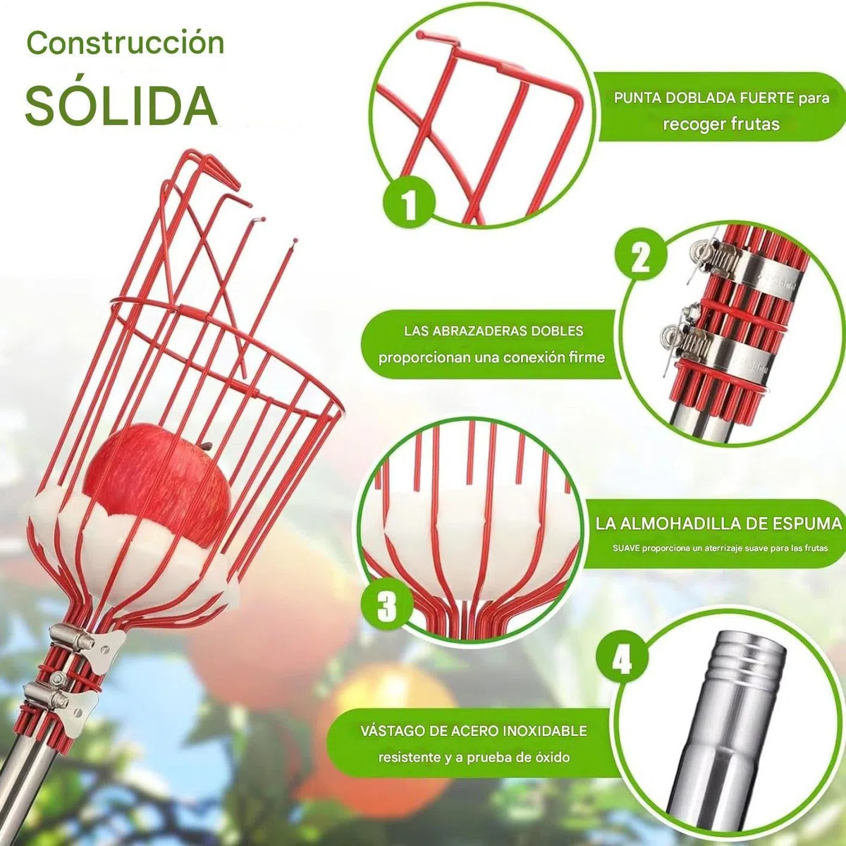 Recolector de Frutas | Recolector de Naranjas de 4 m con Mango Retráctil,Herramienta De Recolección Para Melocotones Granadas Peras Aguacates