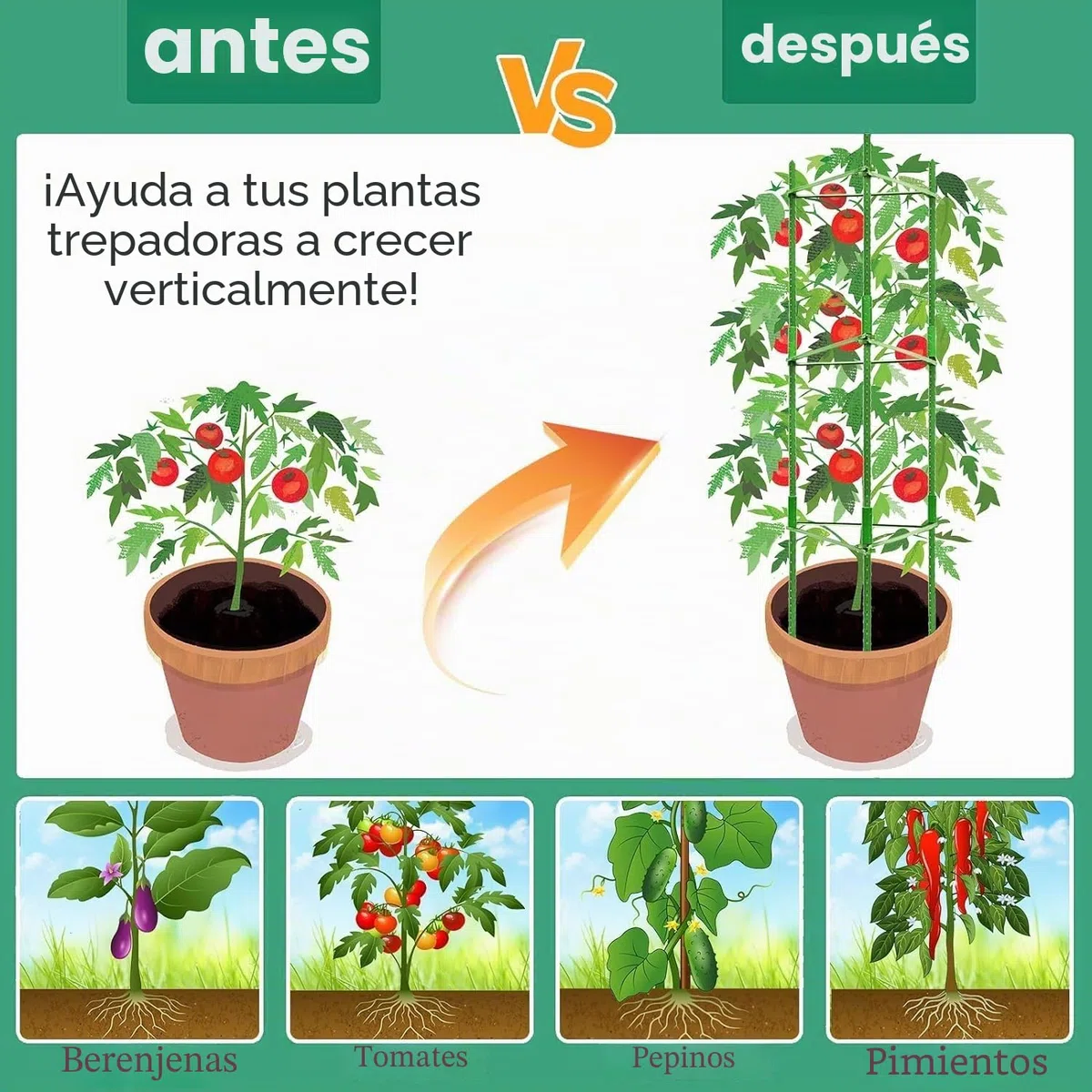 KAHEIGN 2 Piezas Jaulas de Tomate de Jardín, 160CM Enrejado de Marco de Soporte de Planta Ajustable para Verticales Escalada Planta Verduras Flor Frutas Enredadera - con 60Pz Bridas, 20Pz Jardín Clips