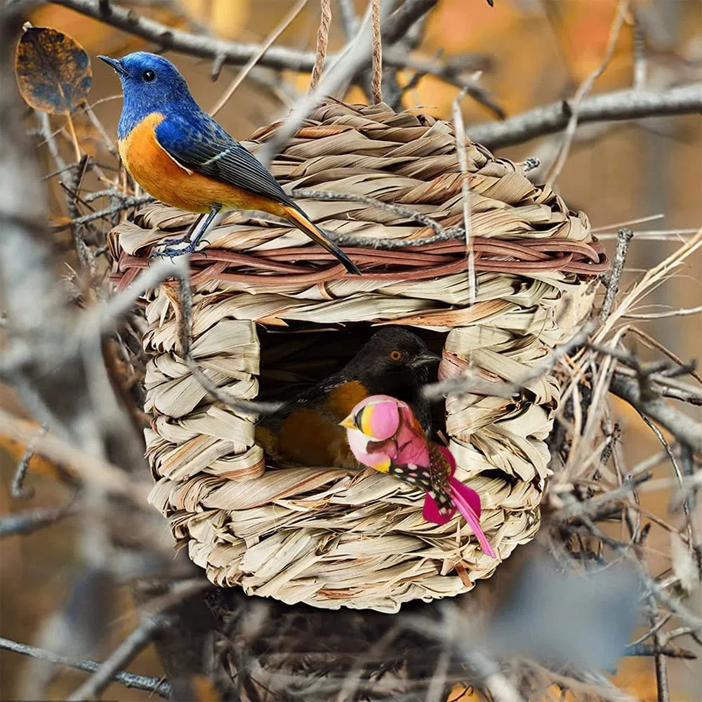 2 Piezas Nidos de Pájaros, Nido de pájaro Colgante, Nido Pajaros Exterior Colgante, Casa de Pajaros Exterior, Tejidas a Mano Hierba Nidos para Pajaros, para Pájaros Pequeños como Colibrí (15x15 cm)