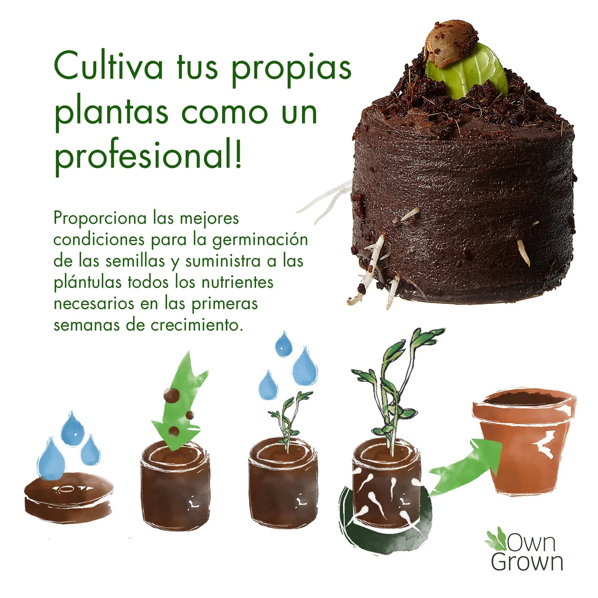 OwnGrown Gránulos de Abono para Semillas de Fibra de Coco, 125 Unidades - Tapones de Coco Fibra de 3,4 cm para un Fuerte de Raíces - Ideales para Germinación de Semillas y Plantación en Interiores