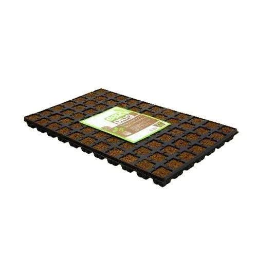 Easy Plug - Dados para cultivo de esquejes (para 77 esquejes)