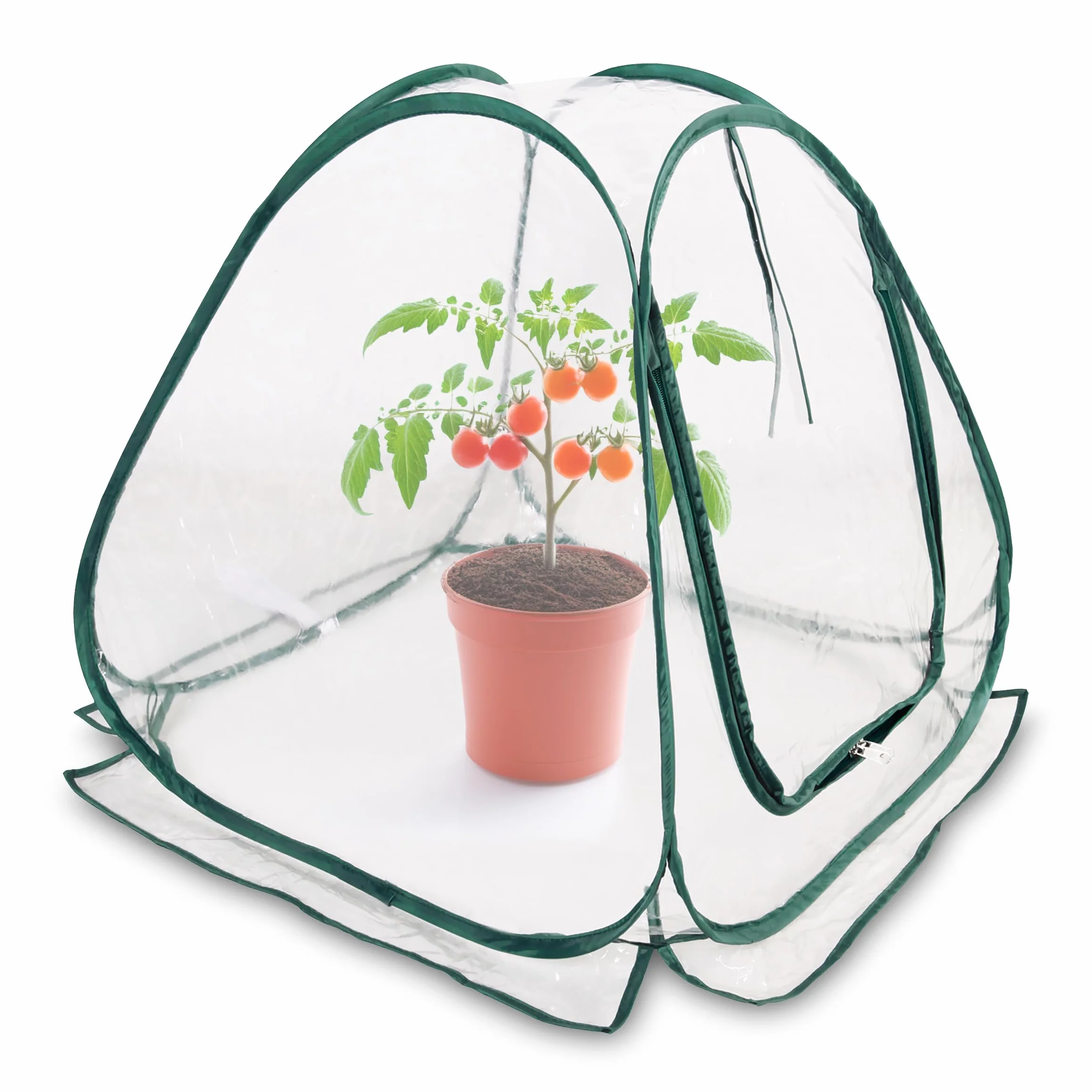 Mini láminas emergentes de invernadero de 60 x 60 cm – Pequeño invernadero para verduras, flores y hongos – Tienda de invierno de PVC transparente para plantas – No requiere montaje