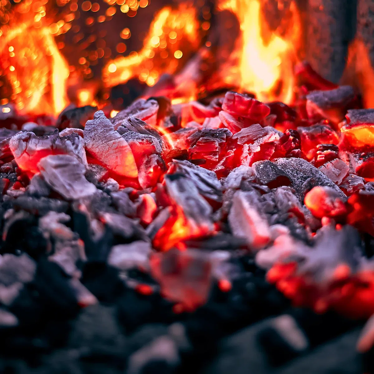 TODOBRASA CV3 • Carbón Vegetal Encina • Ecológico Leña Ibérica • Saco 3 Kg Premium BBQ • Especial Parrilla Barbacoa • Brasa Profesional • Grilling