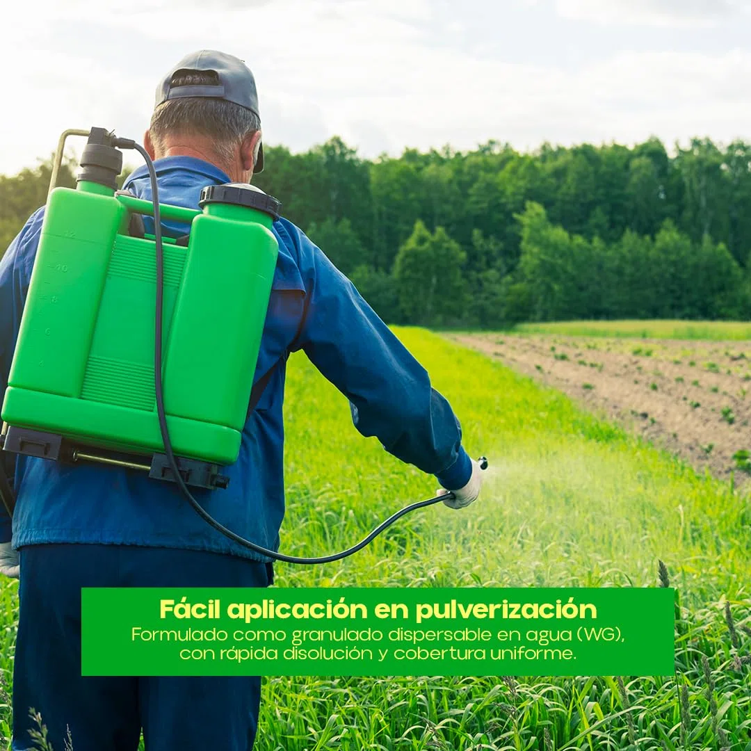 Fungicida Sistémico Fosetil-Al 80% 100 g | Acción Preventiva y Curativa contra Fitóftora y Gomosis | Protección de Raíces, Tronco y Cuello | Control de Oomicetos en Plantas | Eficaz | Nexum Market