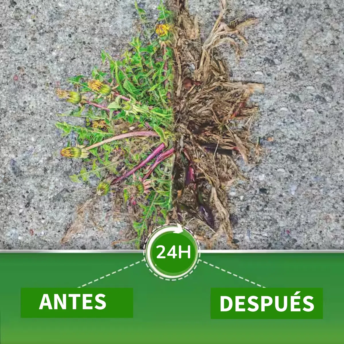 HERBIM 5L - Potente Herbicida Natural Con Vinagre Elimina Eficazmente Malas Hierbas en Jardines y Huertos, con Cobertura de Hasta 500m² | Aplicación Sencilla