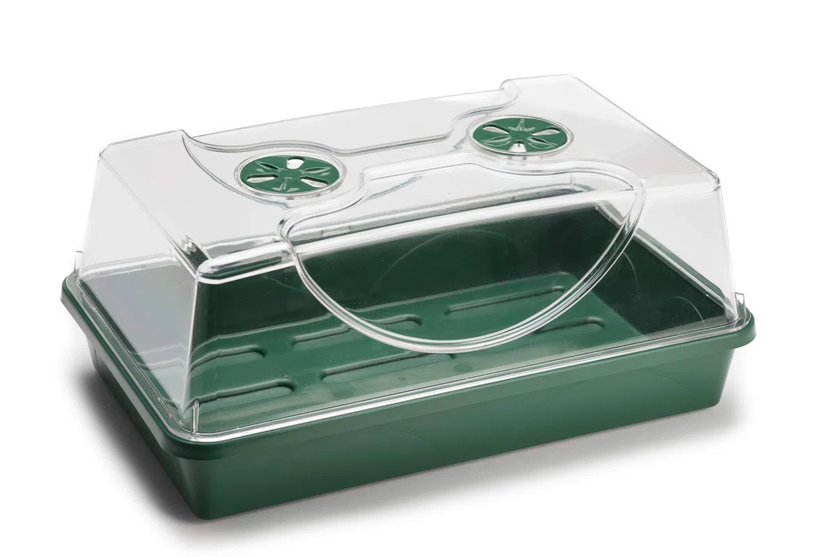 EarlyGrow MPL50031/P - Propagador Mediano con Tapa Resistente a roturas para germinación de Semillas y Crecimiento de Plantas, 38 x 24 x 18 cm, Color Verde