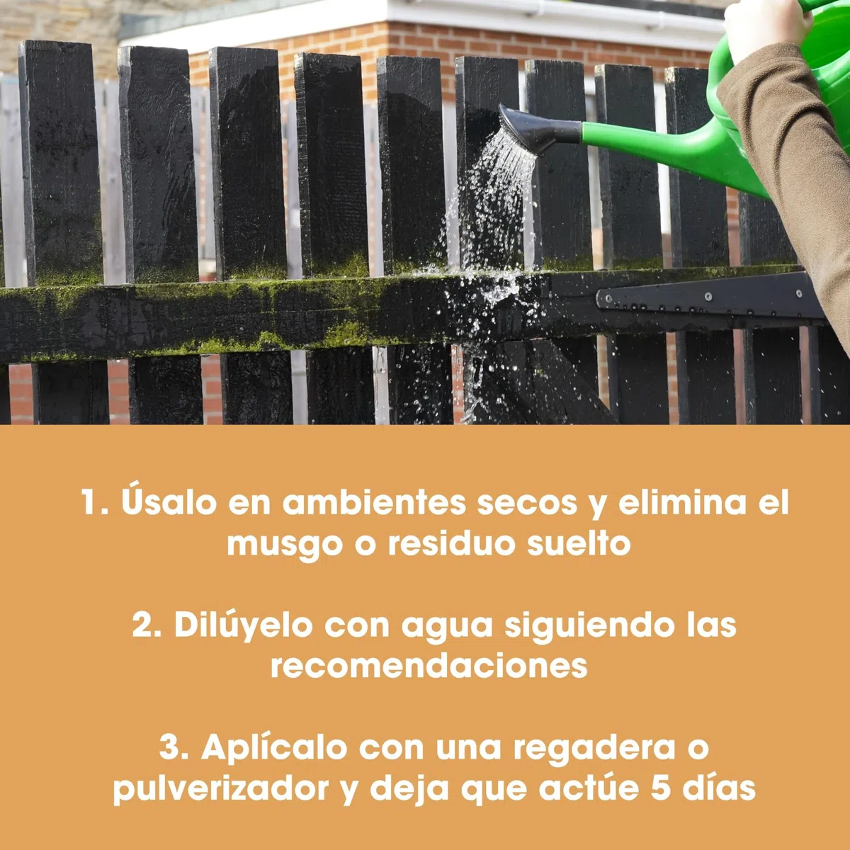 Furniture Clinic Removedor de crecimiento verde - Elimina todo el crecimiento verde de terrazas, vallas, patios, calzadas, techos y paredes
