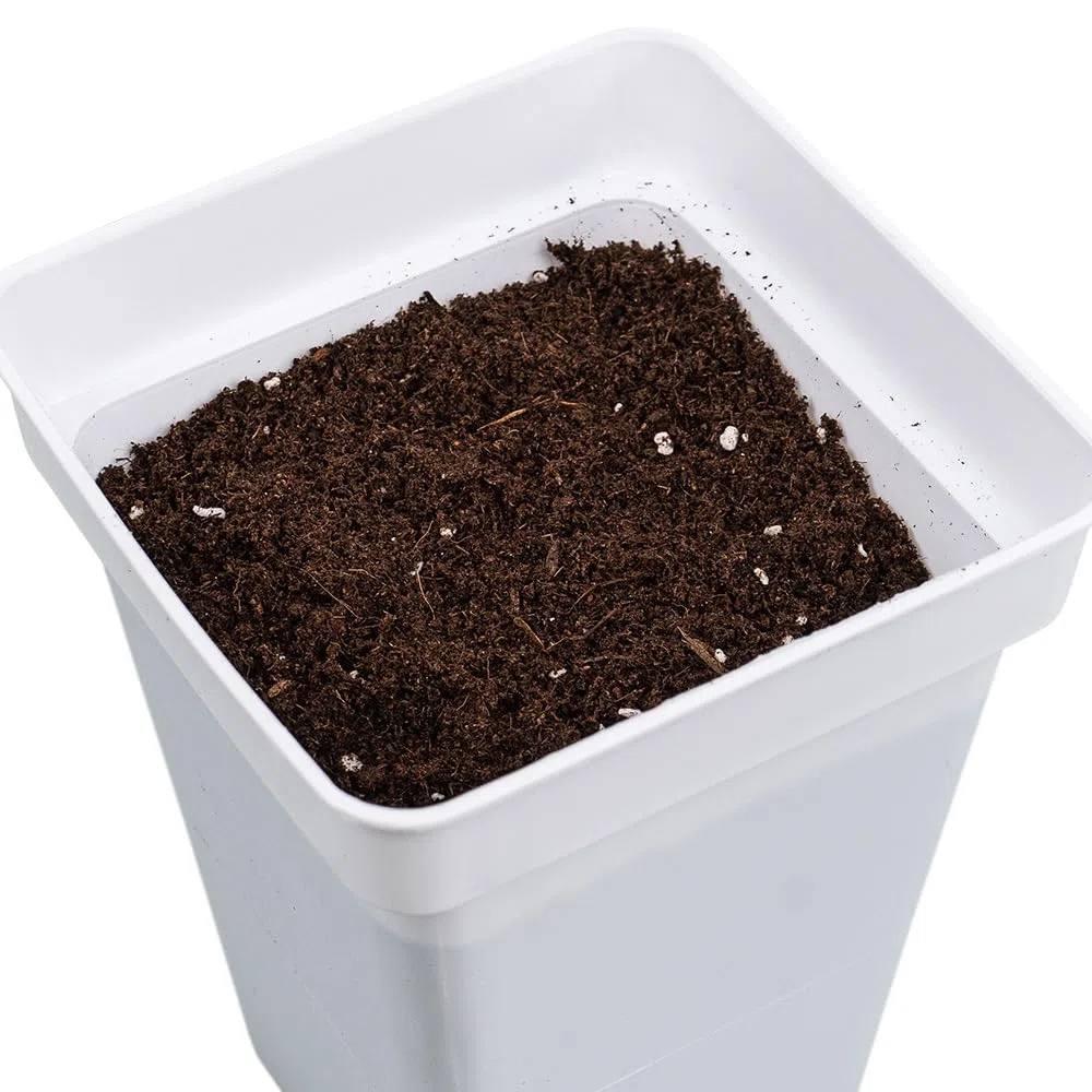 Light Mix GB Nutrients | Sustrato Universal con Turba, Fibra de Coco y Perlita- Tierra para Plantas y Cultivos - 50 L