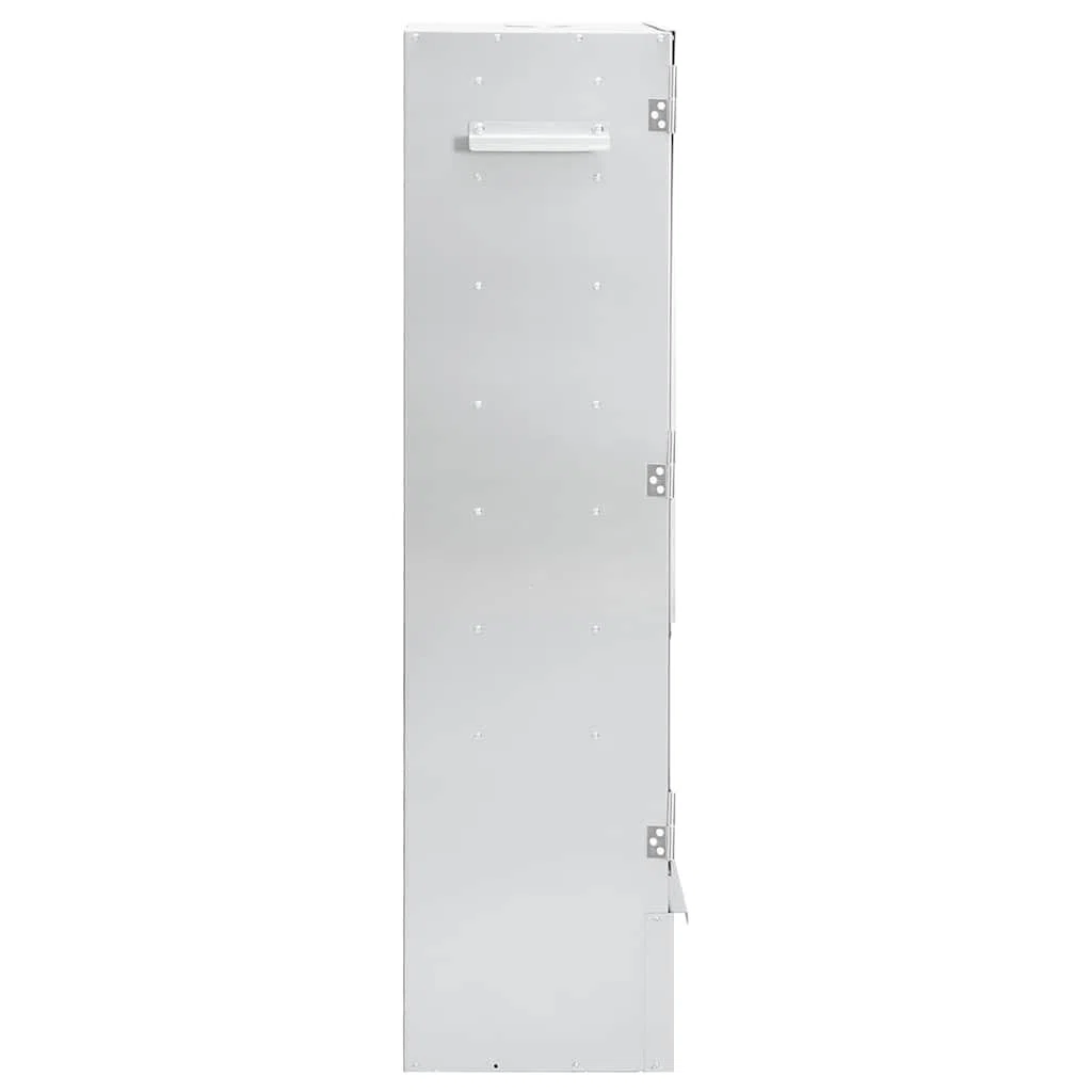 Mangloder - Horno para ahumar en frío con generador de humo frío, acero galvanizado y cristal, 44,5 x 29 x 110 cm, para ahumar carne y pescado al aire libre, con termómetro