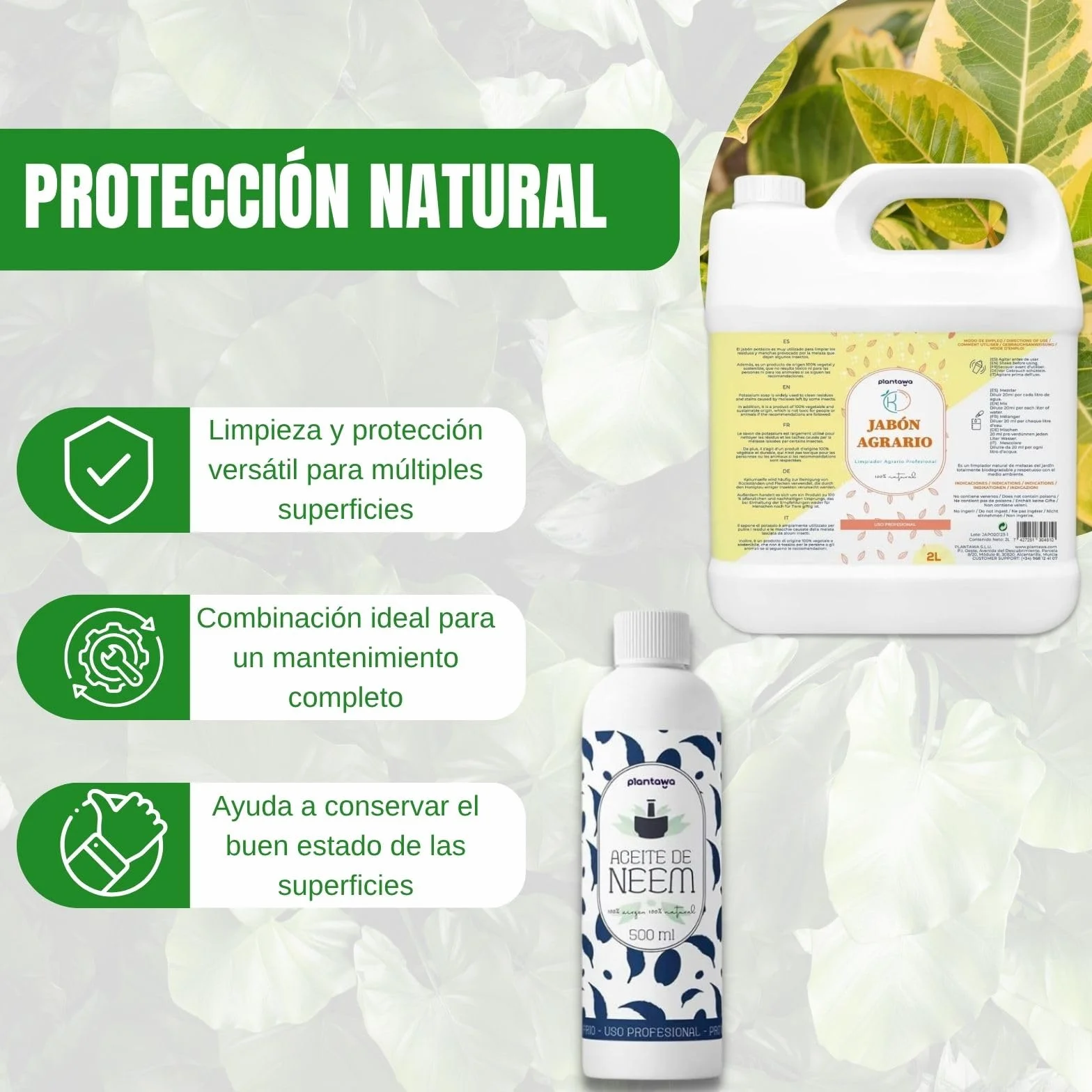 PLANTAWA Pack Jabón Potásico 2L + Aceite de Neem 500ml | Solución Multiusos | Fácil Aplicación y Máxima Eficacia | Versátil | Uso en Interior y Exterior | Productos de origen natural