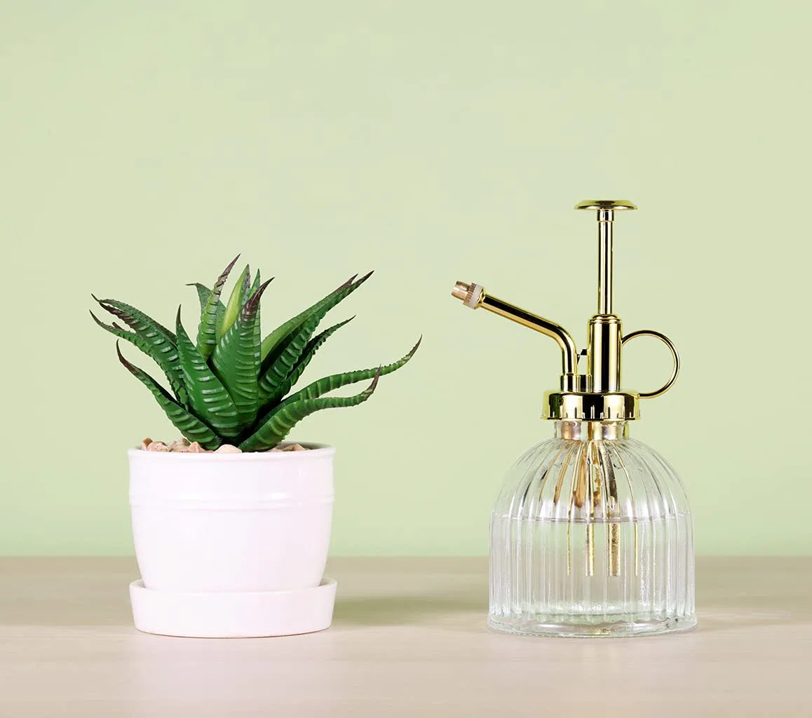Eidoct Botella de spray de cristal Mister para plantas de vidrio, rociador de plantas pequeñas para plantas de interior y exterior, transparente+oro (transparente+oro A)
