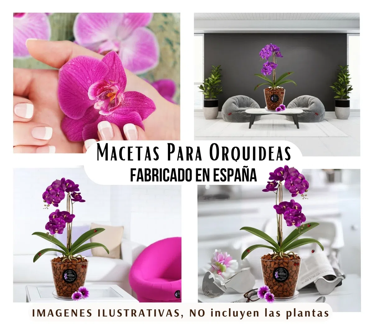 Maceta orquidea Transparente Redonda Tipo Oval Ø16 cm + Plato Transparente | Maceta Transparente orquidea con Agujeros Drenaje, Efecto Vidrio | Tambien como Cubremaceta | Hecha en España