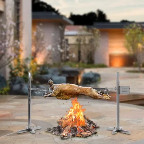 Barbacoa eléctrica giratoria con 2 agujas de carne para actividades al aire libre, camping, picnics, fiestas, 15 W, 220 V