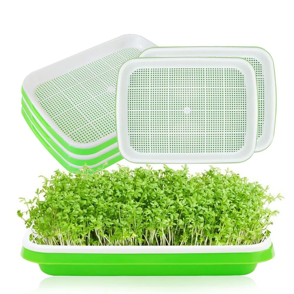 Bandejas Semilleros de Germinacion,6 Piezas 32.5x23.5x4.5cm Bandes para Germinar Brotes,para Semillas Grandes,como Frijol Mmungo,Alfalfa,Hierba de Trigo