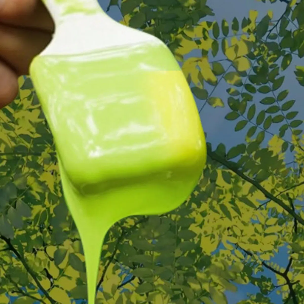 Pasta Cicatrizante Para Árboles | Reparación De Corteza Dañada,Cera De Injerto Y Protector Invernal Para Troncos - Mantenimiento Para Principiantes En Jardinería, Bonsáis Y