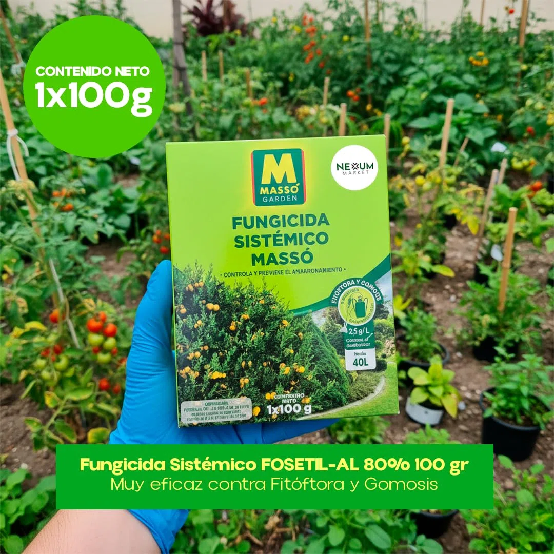 Fungicida Sistémico Fosetil-Al 80% 100 g | Acción Preventiva y Curativa contra Fitóftora y Gomosis | Protección de Raíces, Tronco y Cuello | Control de Oomicetos en Plantas | Eficaz | Nexum Market